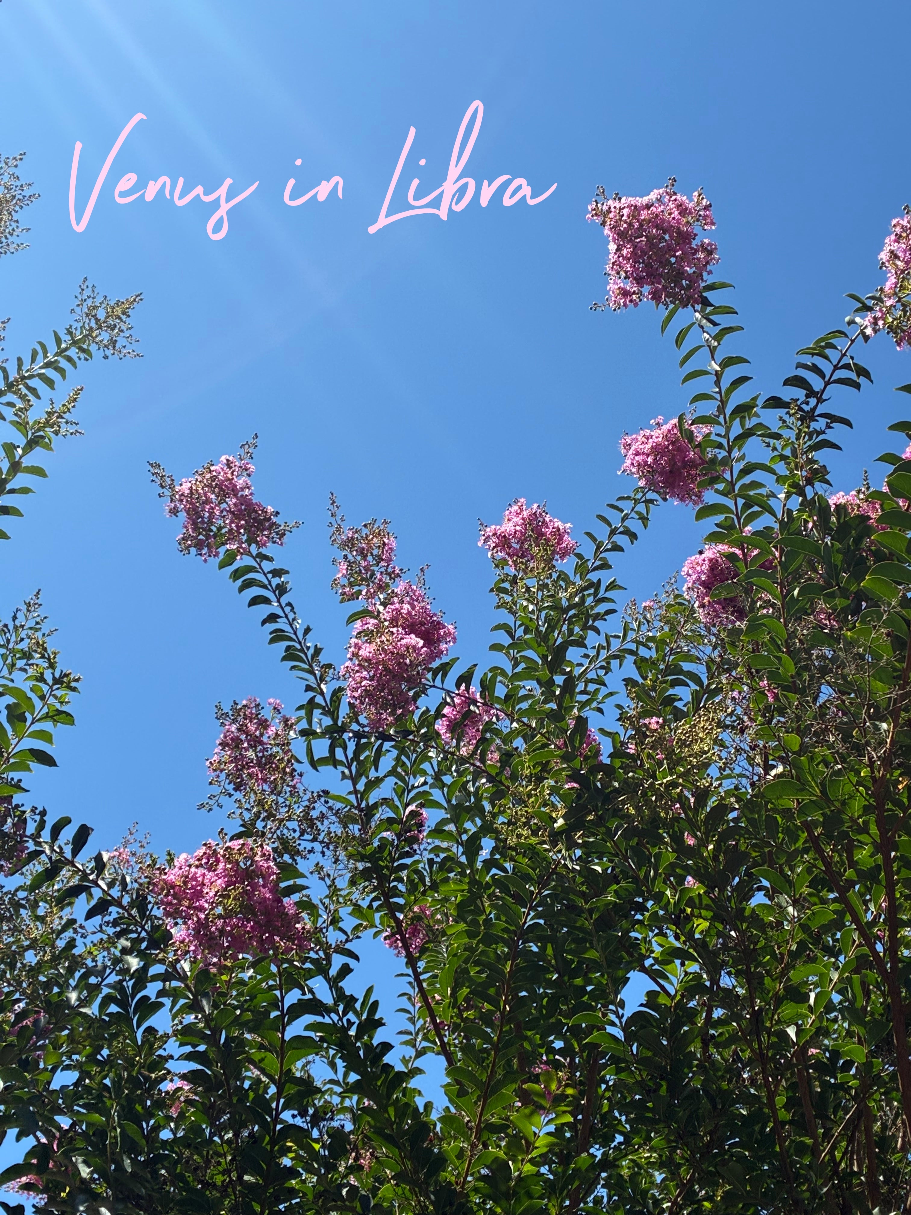 Venus in Libra (2026)