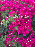 New Moon in Leo (2026)