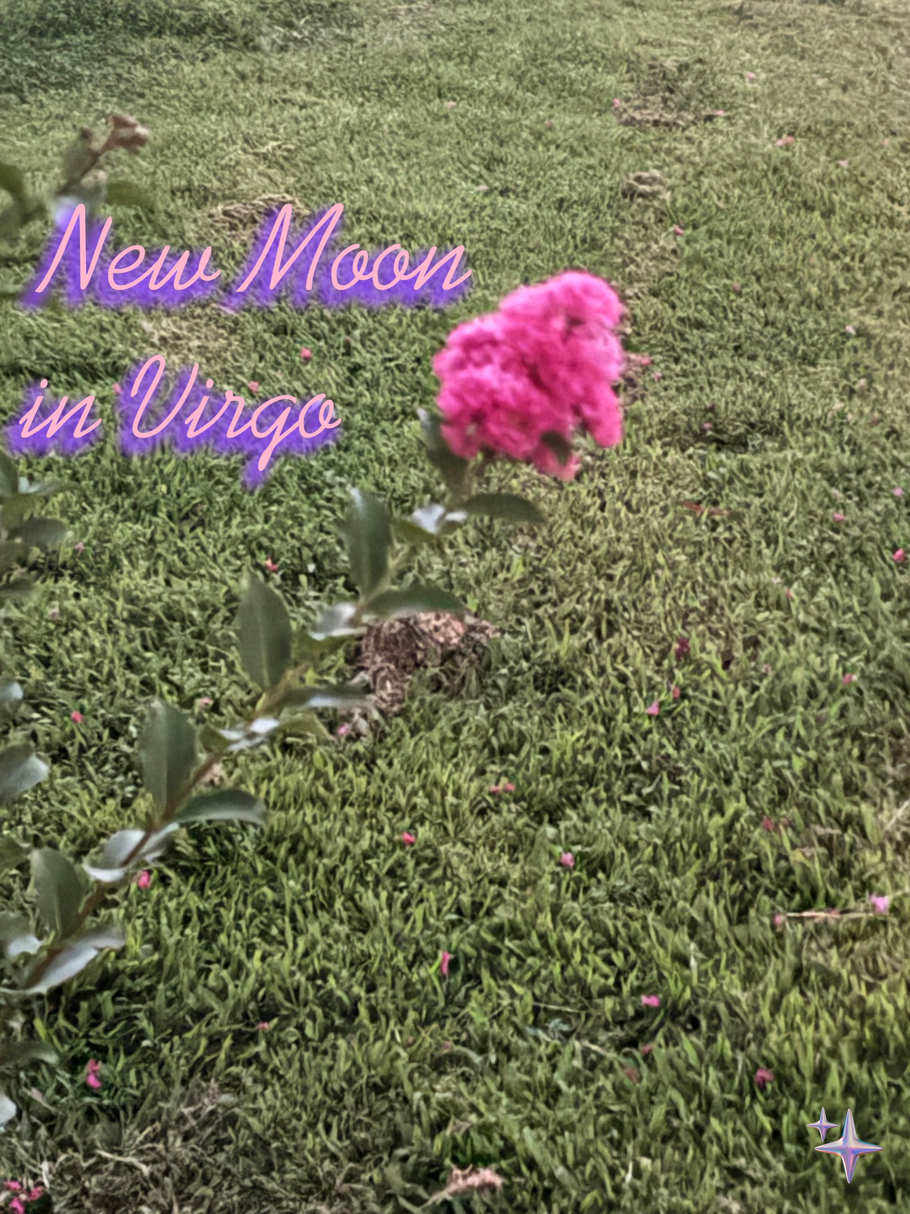 New Moon in Virgo (2026)